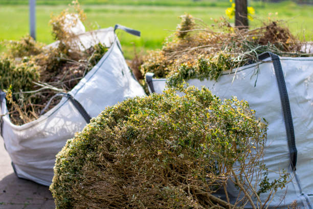 Best Full-Service Junk Removal  in Stafford Courthouse, VA